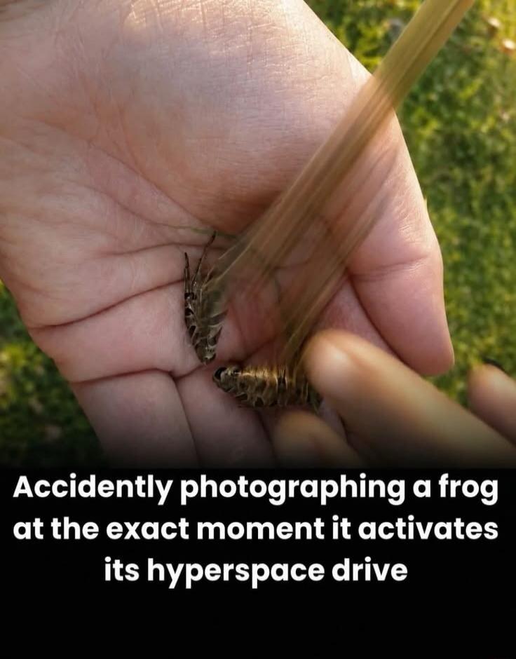 Accidentally photographing a frog at the exact moment it activates its hyperspace drive