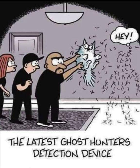 TiON DENICE THE LATEST GHOST HOUNTERS DETEC