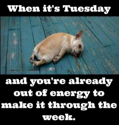 When it's Tuesday and you're already out of energy to make it through the week.