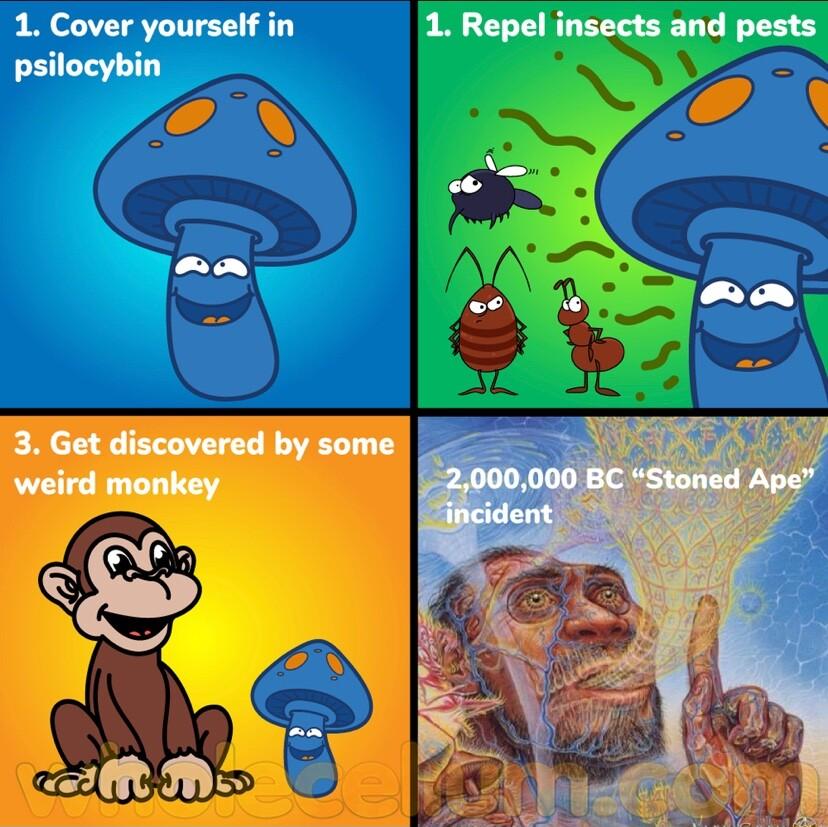 1 Repel insects and pests 1 Cover yourself in psilocybin
