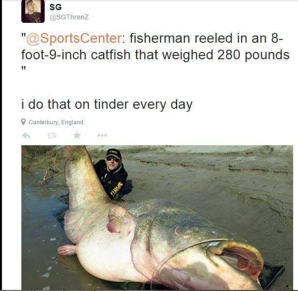 _ j sG SGThreez SportsCenter fisherman reeled in an 8 foot 9 inch catfish that weighed 280 pounds i do that on tinder every day Q Canterbury England