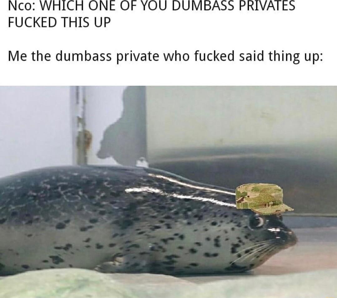 Nco WHICH ONE OF YOU DUMBASS PRIVAIES FUCKED THIS UP Me the dumbass private who fucked said thing up