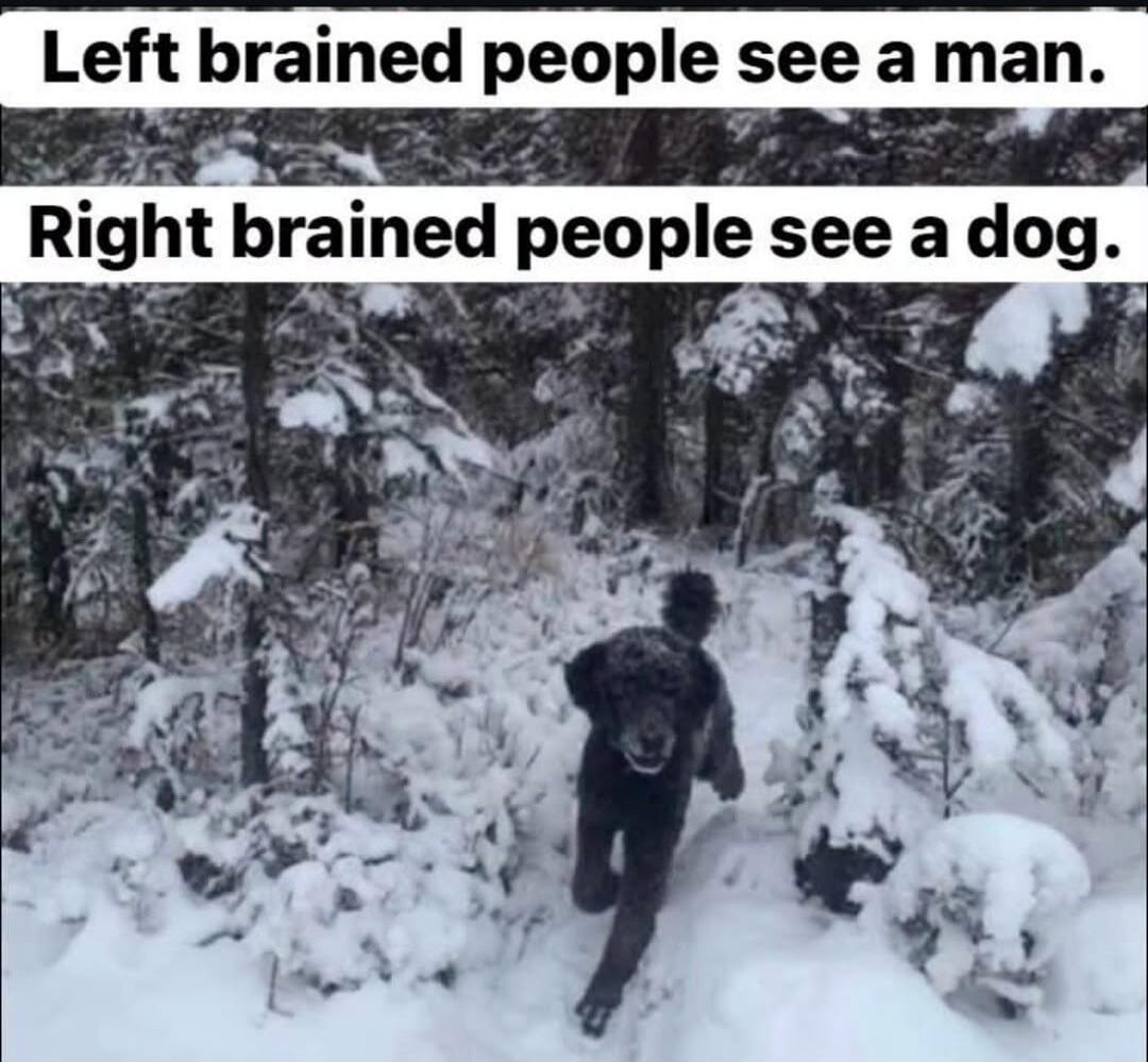 Left brained people see a man. Right brained people see a dog.