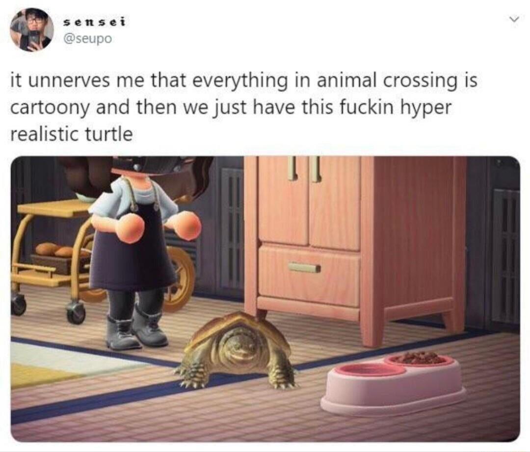 it unnerves me that everything in animal crossing is cartoony and then we just have this fuckin hyper realistic turtle