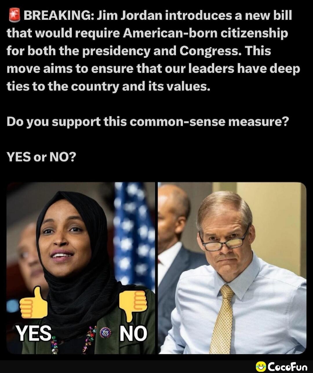 BREAKING: Jim Jordan introduces a new bill that would require American-born citizenship for both the presidency and Congress. This move aims to ensure that our leaders have deep ties to the country and its values. Do you support this common-sense measure? YES or NO?