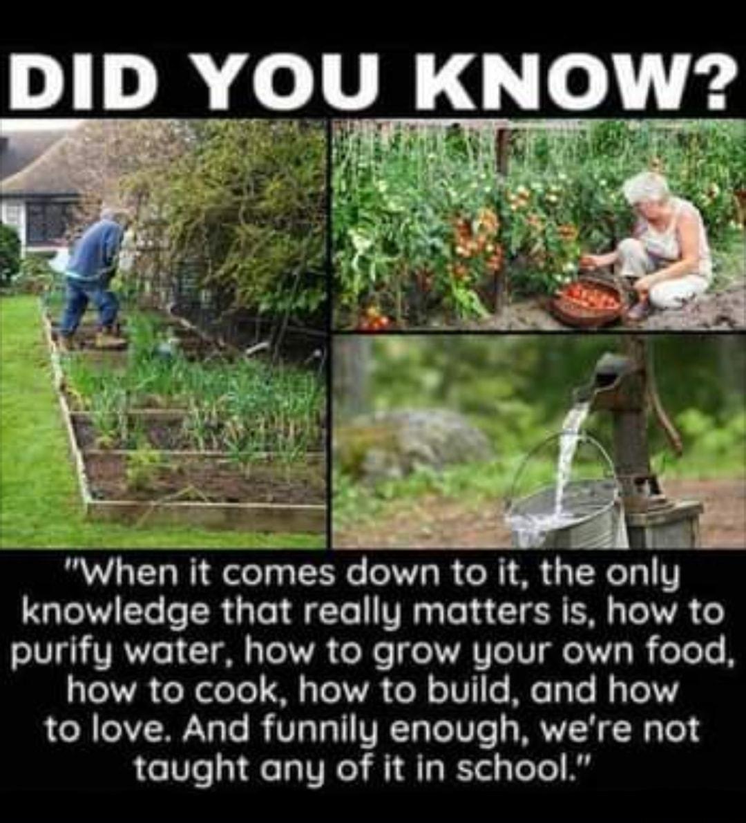 DID YOU KNOW when it comes down o t the only Tl Yo o TR aTe i gTe V sTe 1 4 CTE R IS 4 T 1V o oIV Vo T o8l s To 1V o Ne o R T o 1V ol s I8 eToTe B o1 o WatoTe s 11 Tol oTV1c MeTyle Ny To1Y ol oA MNaTe B VIolal VIt TaTolN o MR H f l o taught any of it in school