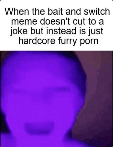 When the bait and switch meme doesnt cut to a joke but instead is just hardcore furry porn