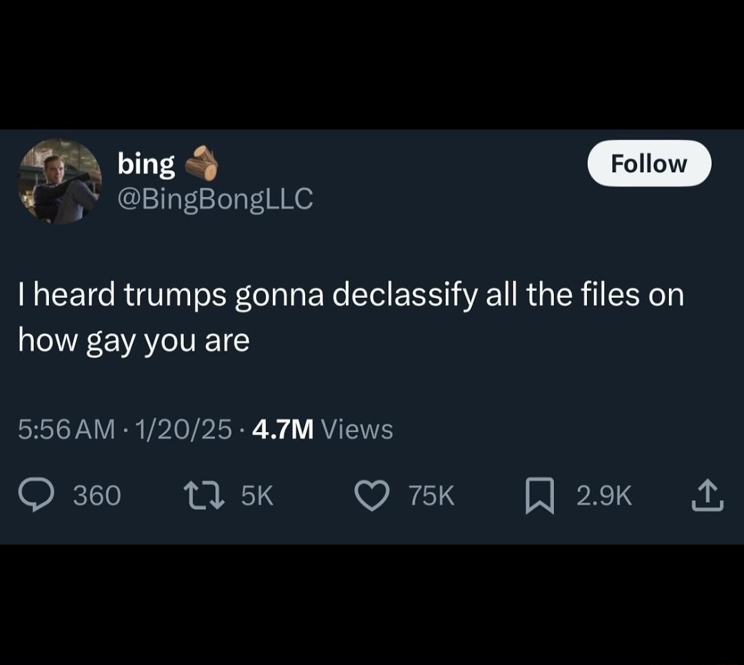 5 bing 4 4 BingBonglLC heard trumps gonna declassify all the files on how gay you are 556 AM 12025 4TM Views Q360 11 5K Q 75K 29