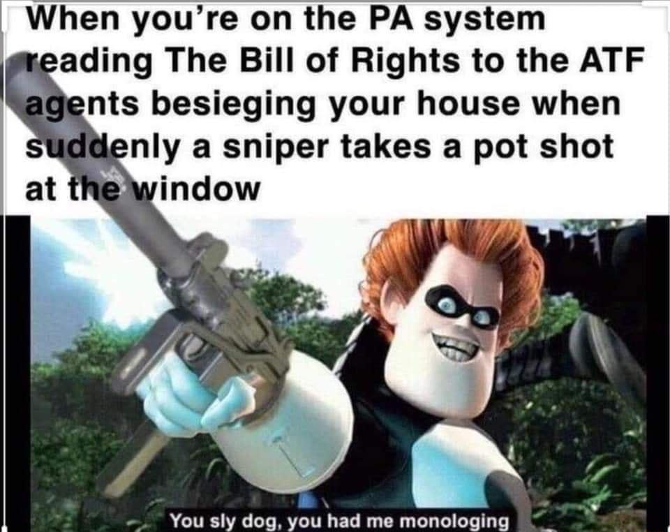When youre on the PA system eading The Bill of Rights to the ATF ents besieging your house when nIy a sniper takes a pot shot You sly dog you had me monologing