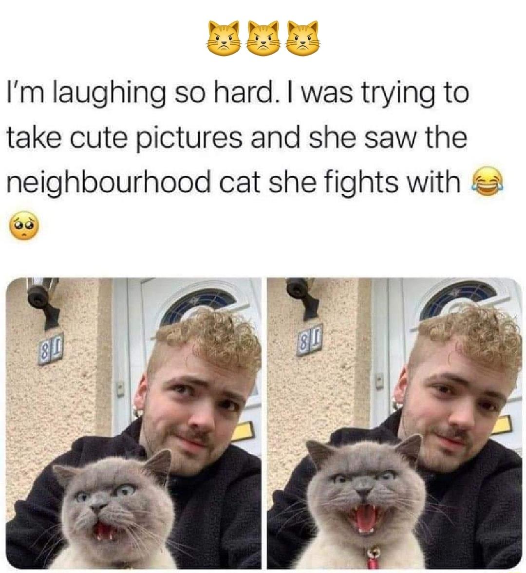 bed B Bt Im laughing so hard was trying to take cute pictures and she saw the neighbourhood cat she fights with T o W 4