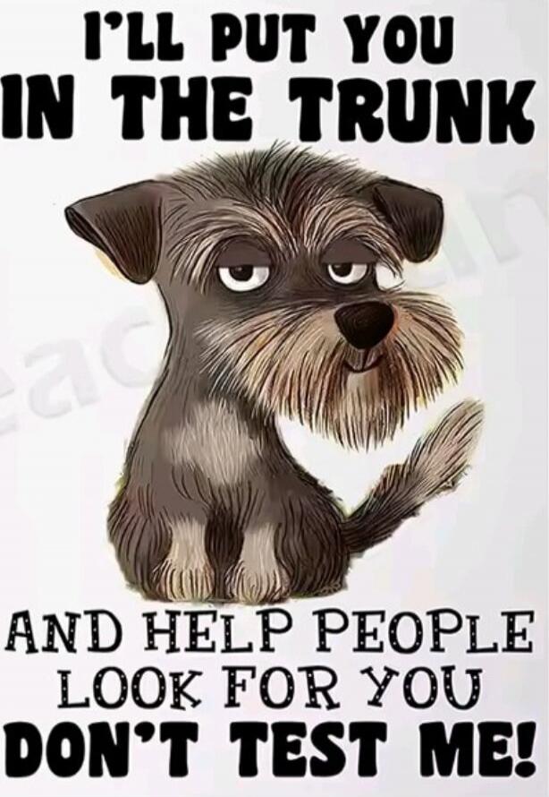 I'LL PUT YOU IN THE TRUNK AND HELP PEOPLE LOOK FOR YOU DON'T TEST ME!