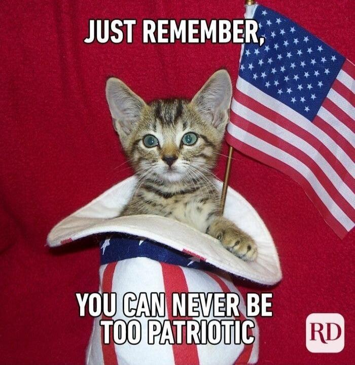 JUST REMEMBER, YOU CAN NEVER BE TOO PATRIOTIC RD