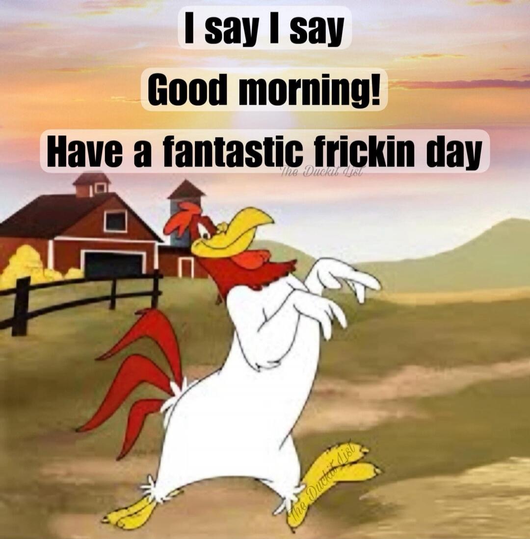 I say I say Good morning! Have a fantastic frickin day