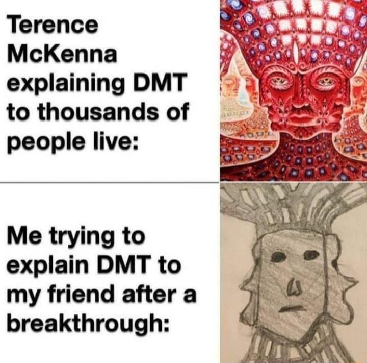 Terence McKenna explaining DMT to thousands of people live Me trying to explain DMT to my friend after a breakthrough