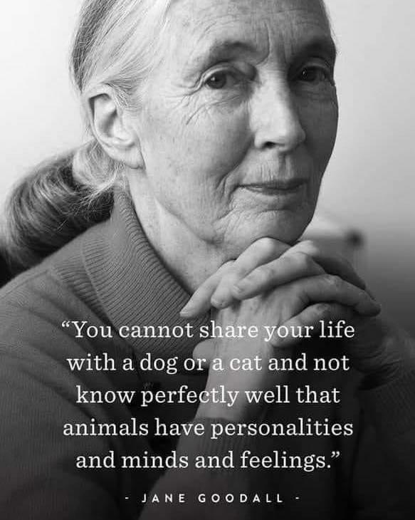 You cannot s with a dog o and not know perfegtlywell that animals have personalities and minds and feelings JANE GOODALL