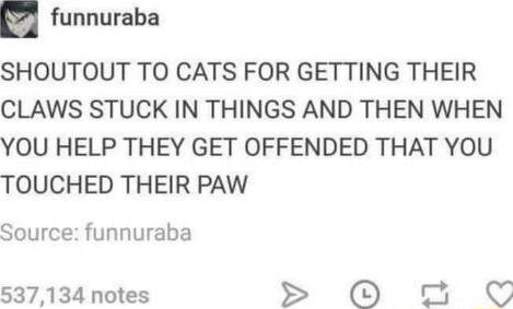 funnuraba SHOUTOUT TO CATS FOR GETTING THEIR CLAWS STUCK IN THINGS AND THEN WHEN YOU HELP THEY GET OFFENDED THAT YOU TOUCHED THEIR PAW Source funnuraba 537134 notes S o O