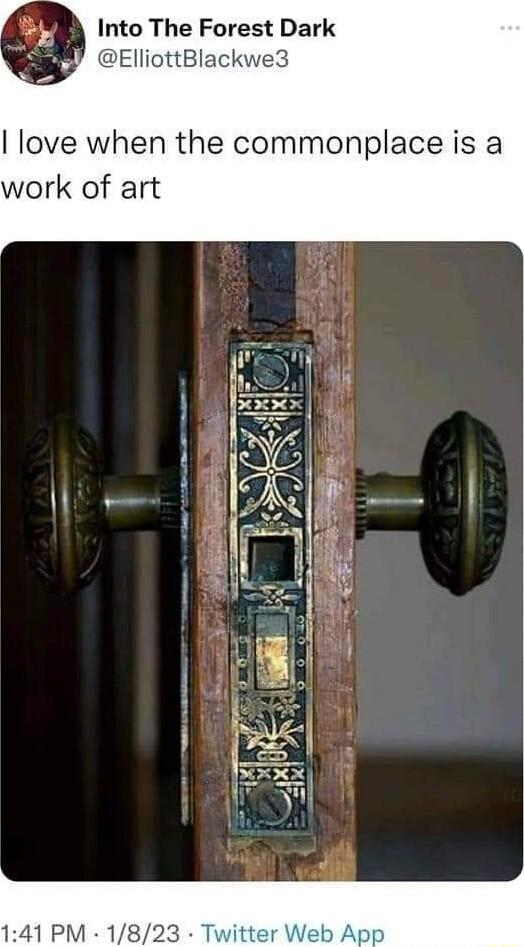 Into The Forest Dark DElliottBlackwe3 love when the commonplace is a work of art