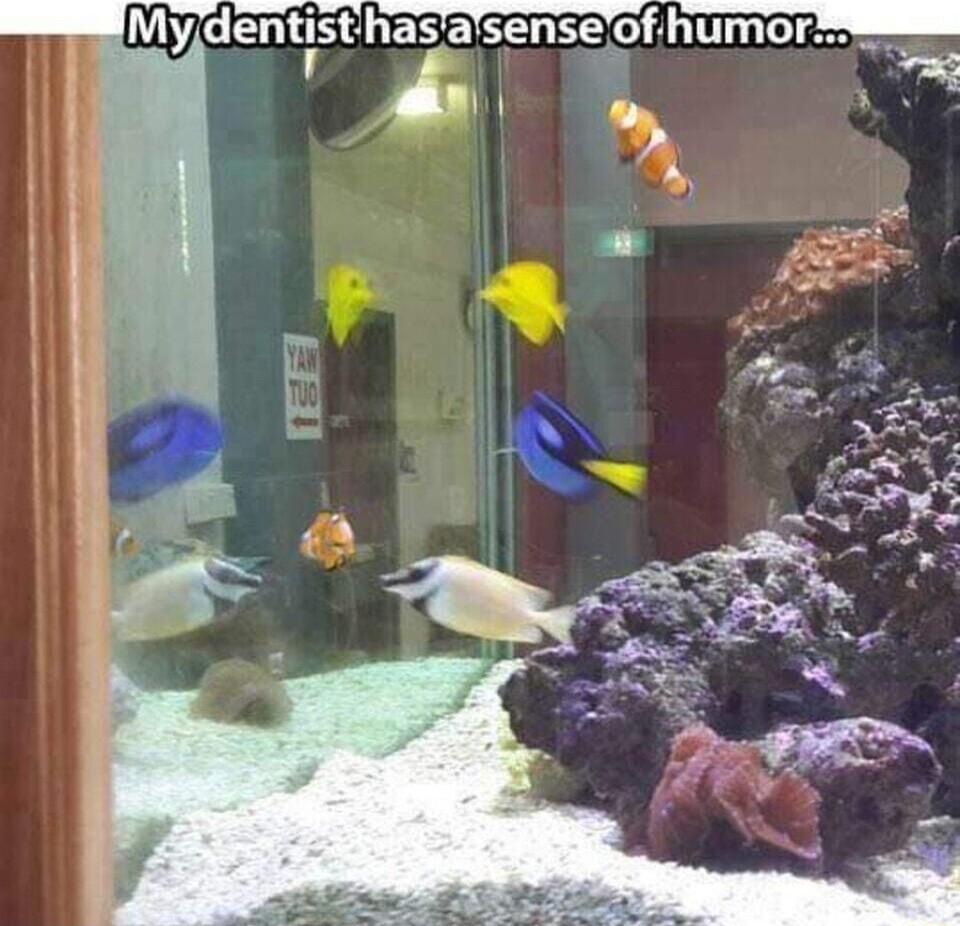 My dentst hasasenseofihumor N
