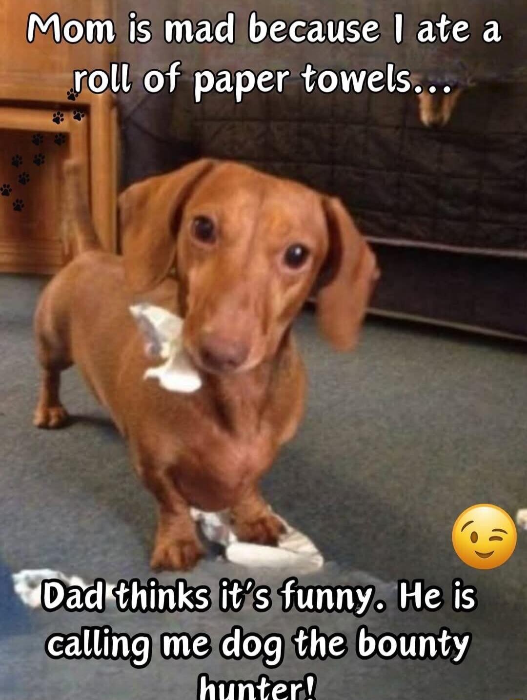 Momis mad because ate a rollof paper towels p 1 i Q0 2dkthinksitsfunny He is 5 callinglmeldogthe bounty hunter
