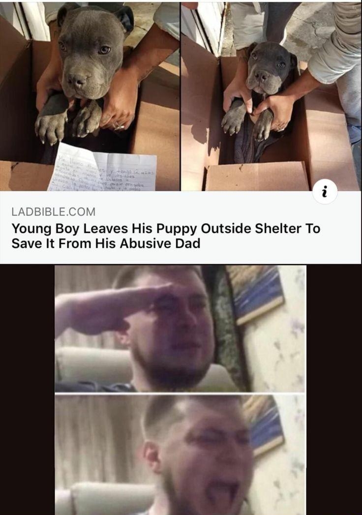 LADBIBLECOM Young Boy Leaves His Puppy Outside Shelter To Save It From His Abusive Dad