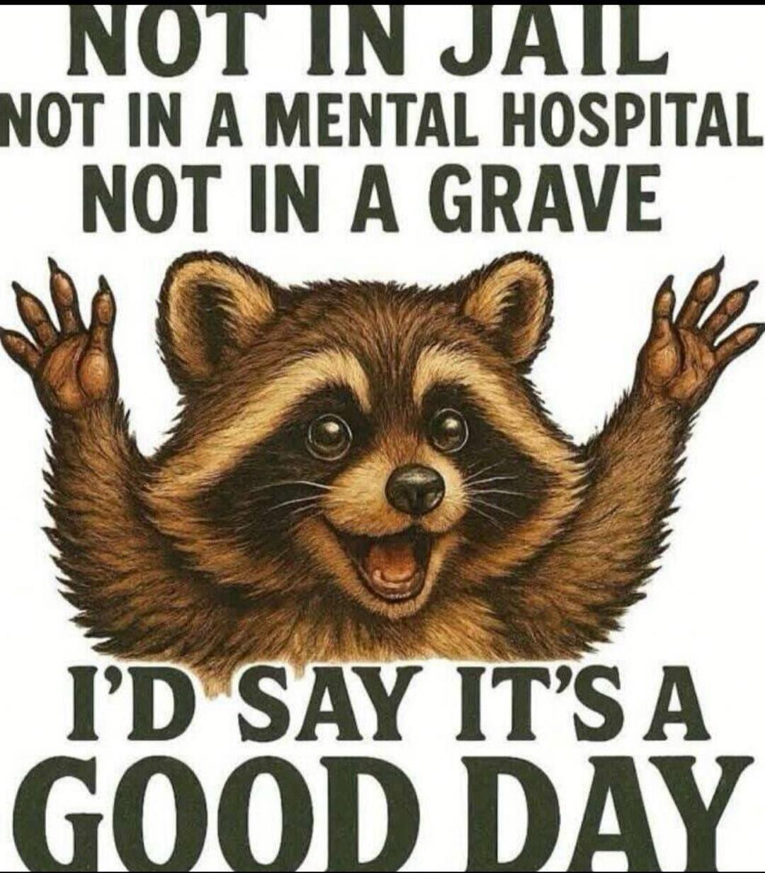 NOT IN JAIL NOT IN A MENTAL HOSPITAL NOT IN A GRAVE I'D SAY IT'S A GOOD DAY
