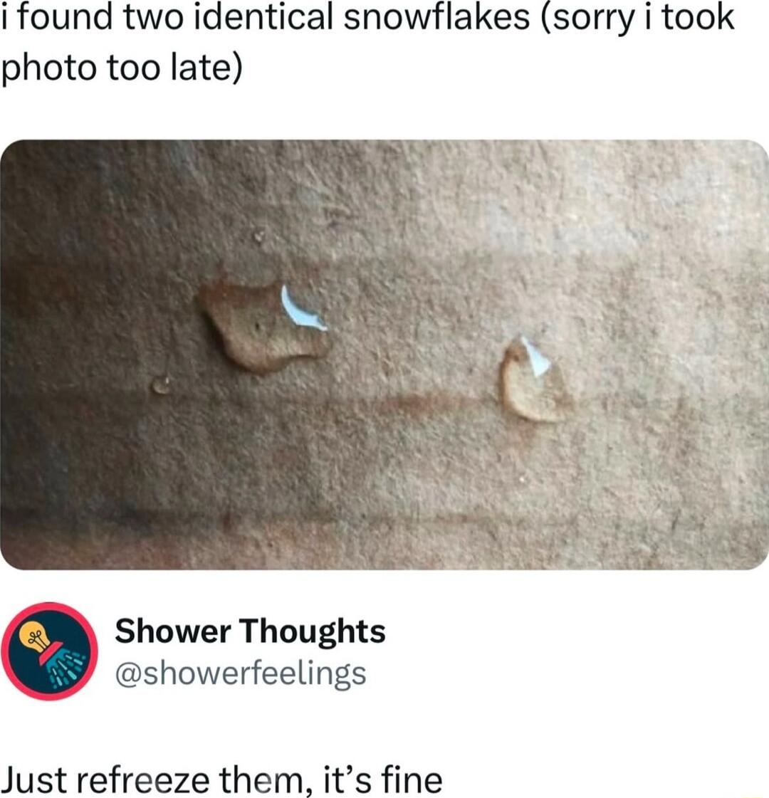 I found two identical snowflakes sorry i took photo too late Shower Thoughts showerfeelings Just refreeze them its fine