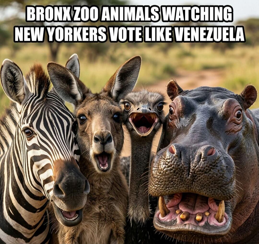 BRONX ZOO ANIMALS WATCHING NEW YORKERS VOTE LIKE VENEZUELA