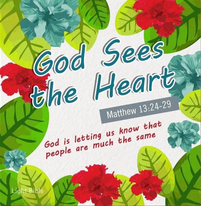 God Sees the Heart Matthew 13:24-29 God is letting us know that people are much the same Light Bible