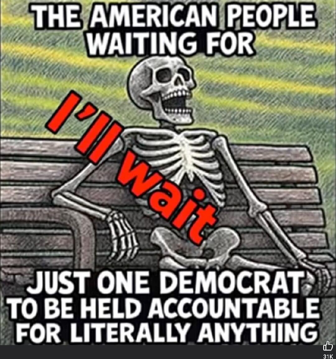 THE AMERICAN PEOPLE WAITING FOR I'LL WAIT JUST ONE DEMOCRAT TO BE HELD ACCOUNTABLE FOR LITERALLY ANYTHING