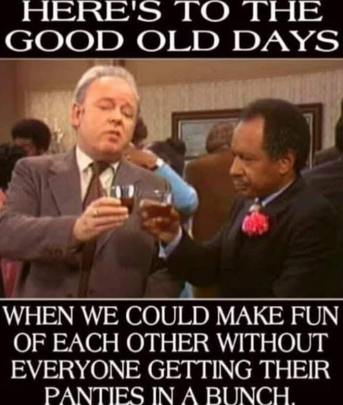 HERE'S TO THE GOOD OLD DAYS WHEN WE COULD MAKE FUN OF EACH OTHER WITHOUT EVERYONE GETTING THEIR PANTIES IN A BUNCH.
