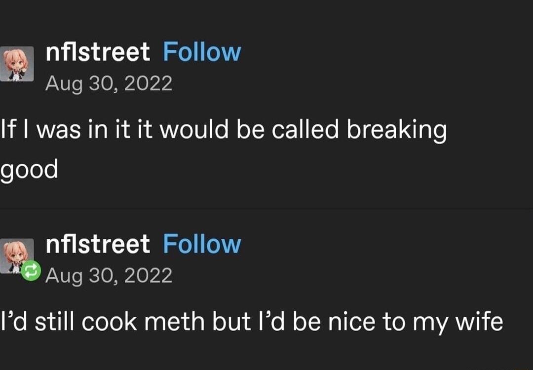 5T Gl Aug 30 2022 If was in it it would be called breaking eolols y nflstreet Follow Aug 30 2022 Id still cook meth but Id be nice to my wife