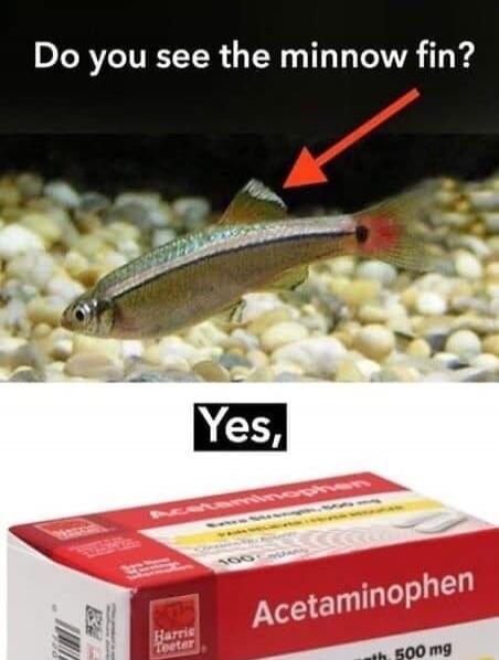 Do you see the minnow fin? Yes, Acetaminophen Extra Strength 500 mg Harris Teeter