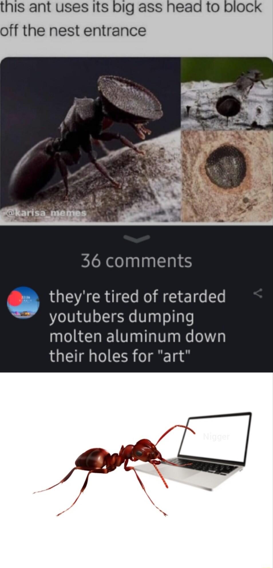 IS ant uses Its big ass head to bloc off the nest entrance X lnlnlzhie theyre tired of retarded youtubers dumping molten aluminum down their holes for art