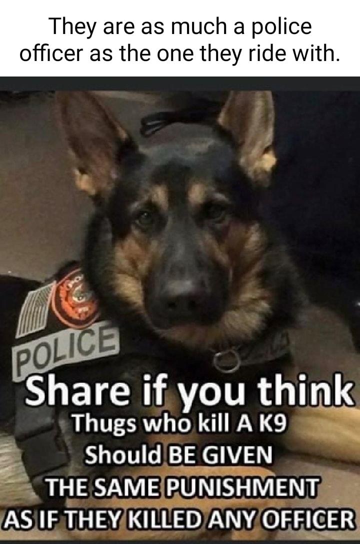 They are as much a police officer as the one they ride with W L S ETCERI AT tgurl_ Thugs who kill A K e Should BE GIVEN 3 THE SAME PUNISHMENT e vAS IF THEY KiLLED ANY OFFIC 51