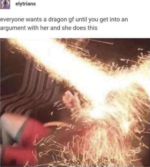 m elytrians everyone wants a dragon gf until you get into an argument with her and she does this