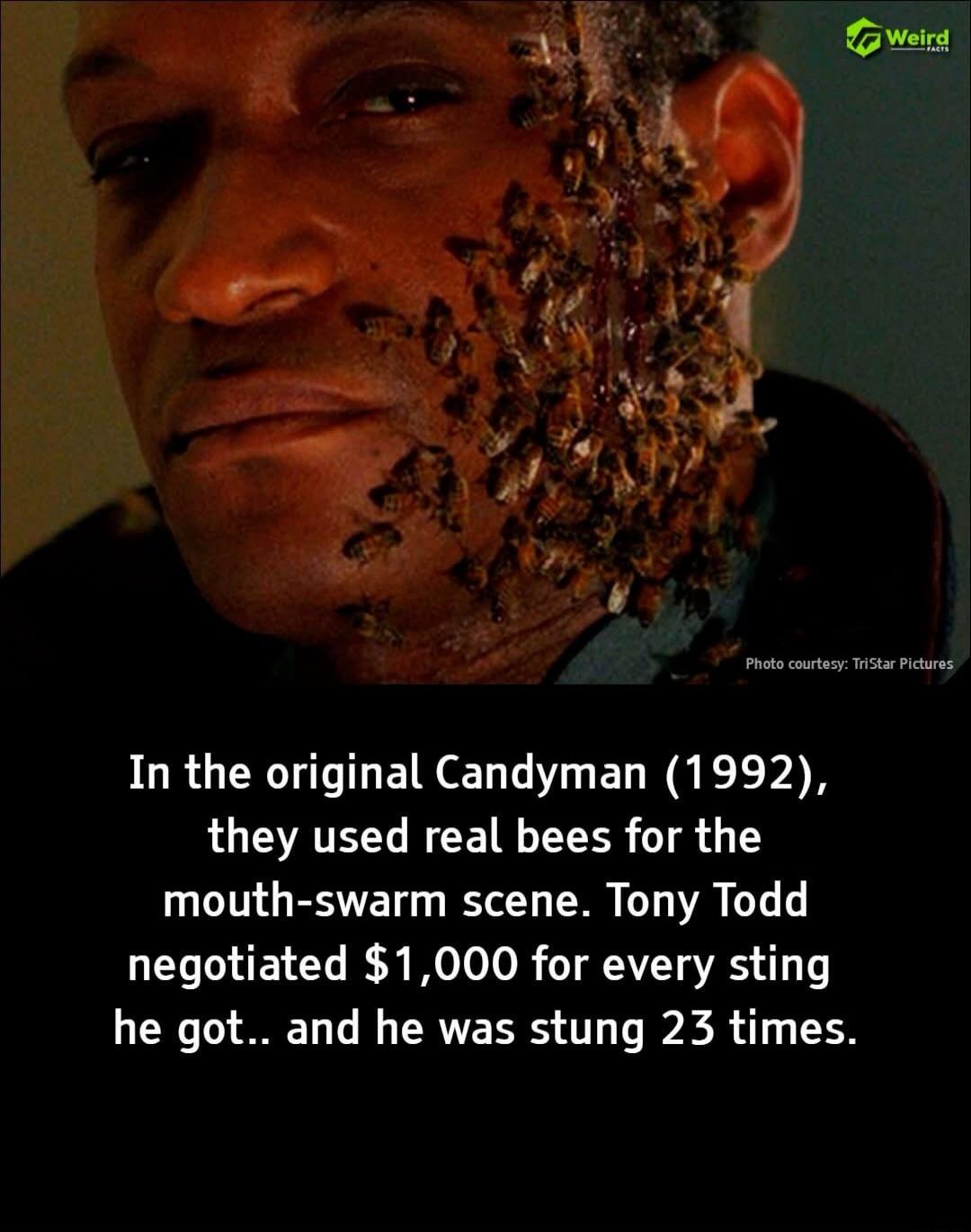 Weird FACTS Photo courtesy: TriStar Pictures In the original Candyman (1992), they used real bees for the mouth-swarm scene. Tony Todd negotiated $1,000 for every sting he got.. and he was stung 23 times.