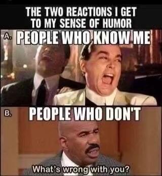 THE TWO REACTIONS I GET TO MY SENSE OF HUMOR A. PEOPLE WHO KNOW ME B. PEOPLE WHO DON'T What's wrong with you?
