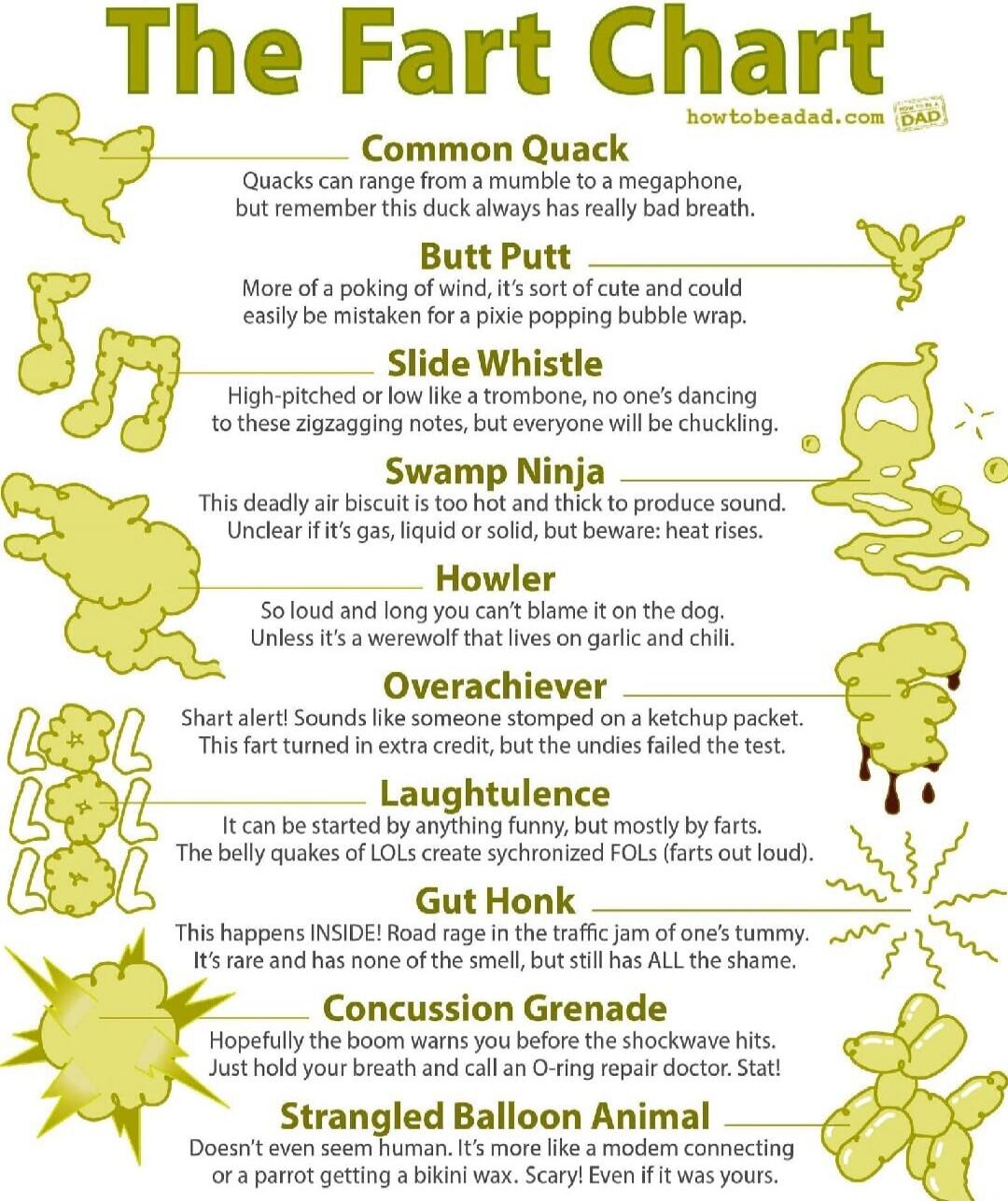 The Fart Chart
Common Quack
Quacks can range from a mumble to a megaphone, but remember this duck always has really bad breath.
Butt Putt
More of a poking wind, it’s sort of cute and could easily be mistaken for a pixie popping bubble wrap.
Slide Whistle
High-pitched— or low like a trombone, no one’s dancing to these zigzagging notes, but everyone 