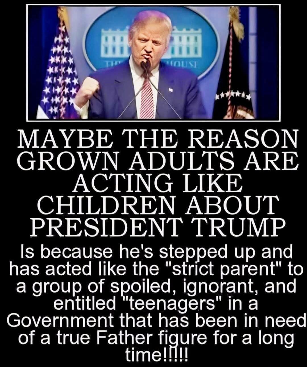 MAYBE THE REASON GROWN ADULTS ARE ACTING LIKE CHILDREN ABOUT PRESIDENT TRUMP Is because he's stepped up and has acted like the 
