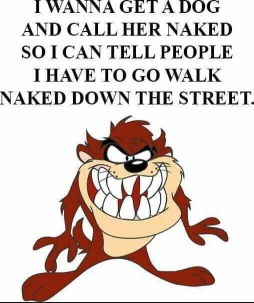 I WANNA GET A DOG AND CALL HER NAKED SO I CAN TELL PEOPLE I HAVE TO GO WALK NAKED DOWN THE STREET.