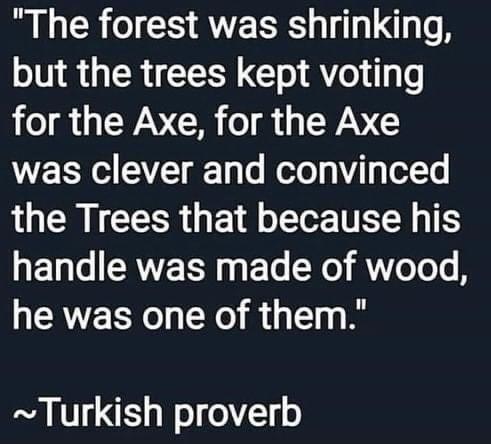 B CR CIHAVE R T g o A but the trees kept voting for the Axe for the Axe was clever and convinced the Trees that because his handle was made of wood he was one of them Turkish proverb