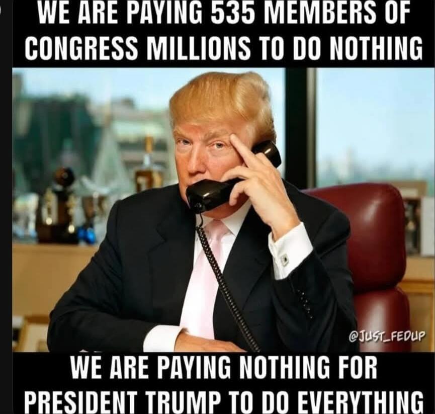 WE ARE PAYING 535 MEMBERS OF CONGRESS MILLIONS TO DO NOTHING WE ARE PAYING NOTHING FOR PRESIDENT TRUMP TO DO EVERYTHING