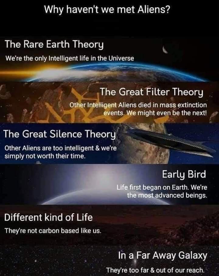 Why havent we met Aliens The Rare Earth Theory Wee the only Intelligent ife in the Universe The Great Silence Theory Other Aliens are too intelligent were simply not worth their ime Different kind of Life Theyre not carbon based like us In aFar Away Galaxy Theyre too far out of our reach