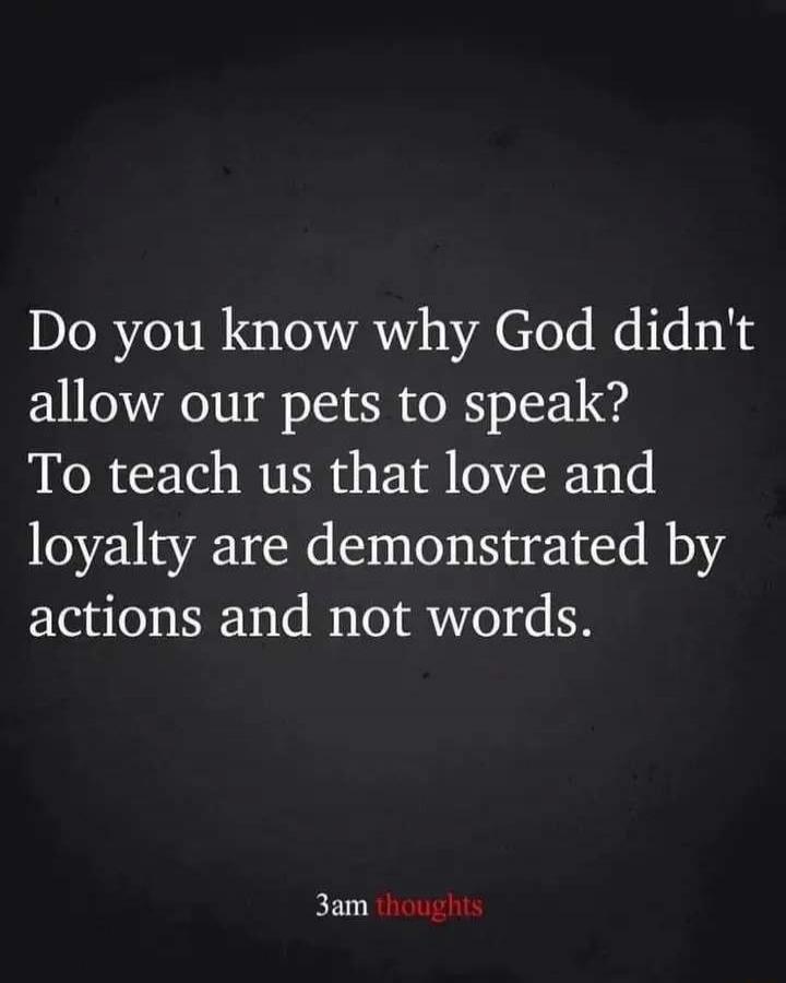 Do you know why God didn't allow our pets to speak? To teach us that love and loyalty are demonstrated by actions and not words.