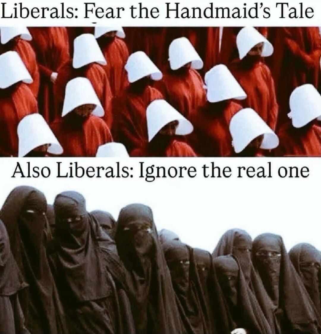 Liberals: Fear the Handmaid's Tale Also Liberals: Ignore the real one