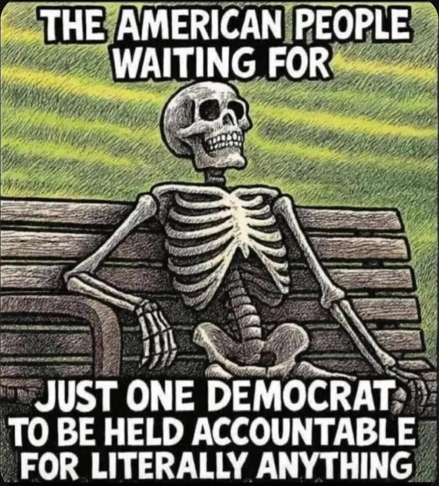 THE AMERICAN PEOPLE WAITING FOR JUST ONE DEMOCRAT TO BE HELD ACCOUNTABLE FOR LITERALLY ANYTHING