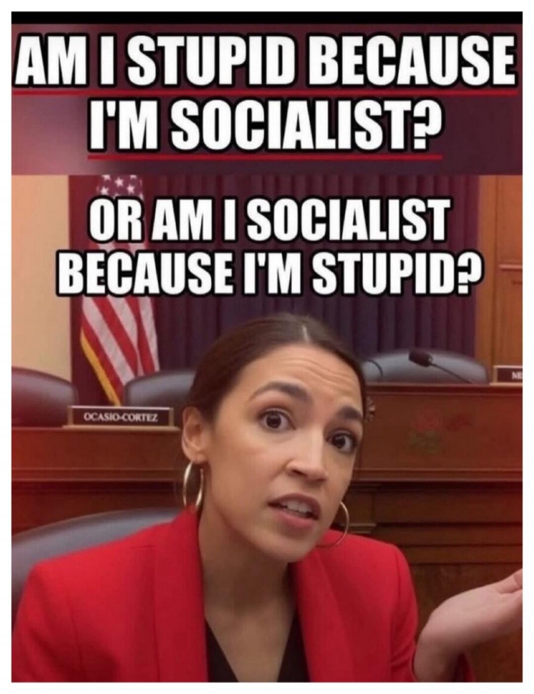 AM I STUPID BECAUSE I'M SOCIALIST? OR AM I SOCIALIST BECAUSE I'M STUPID?