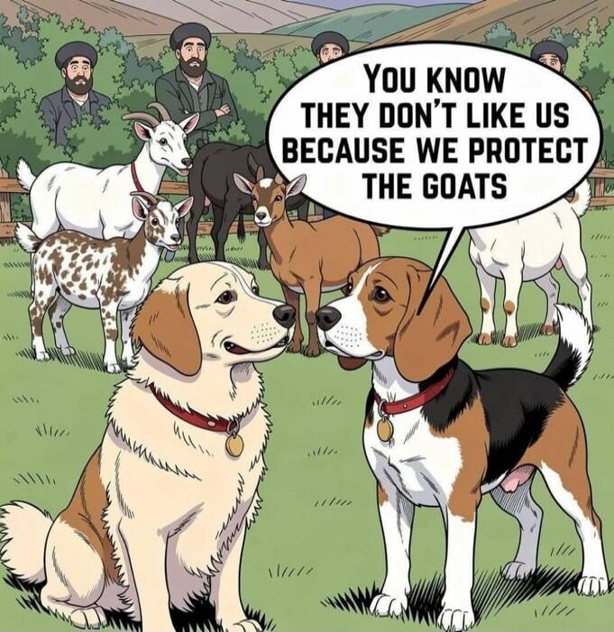 YOU KNOW THEY DON'T LIKE US BECAUSE WE PROTECT THE GOATS