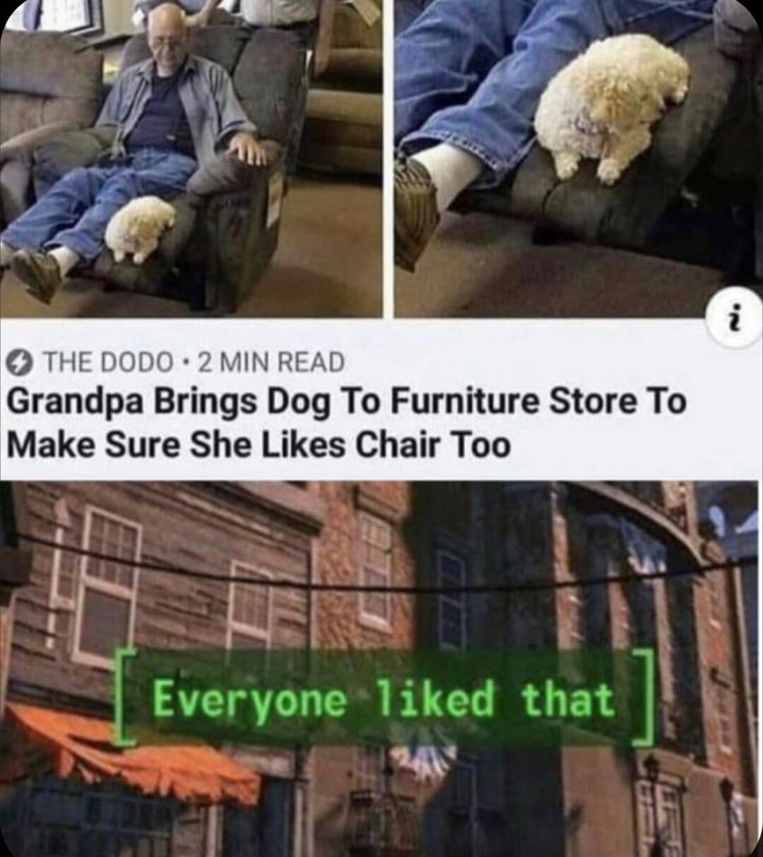 THE DODO 2 MIN READ Grandpa Brings Dog To Furniture Store To Make Sure She Likes Chair Too o i 3 T Everyone liked that e N