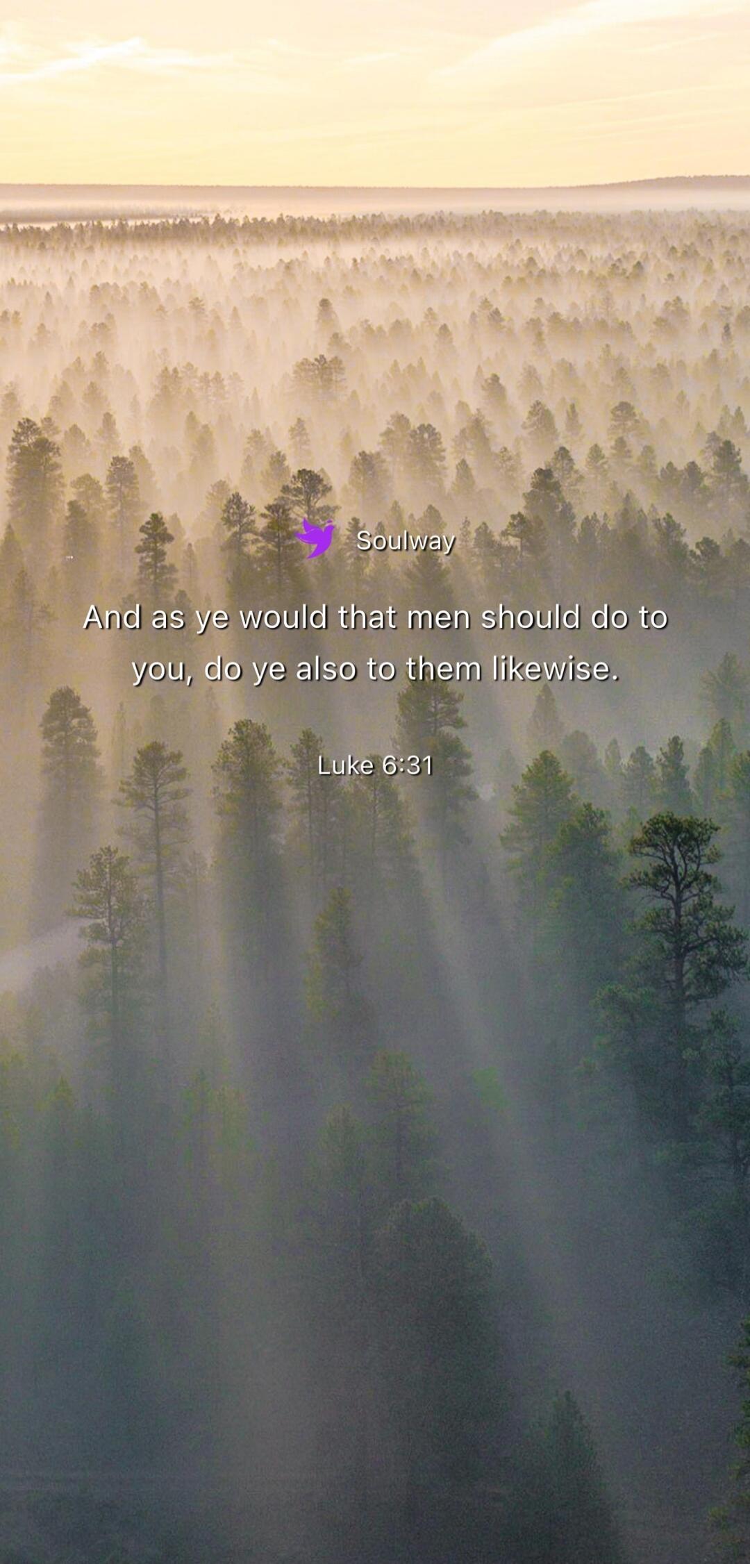 Soulway And as ye would that men should do to you, do ye also to them likewise. Luke 6:31